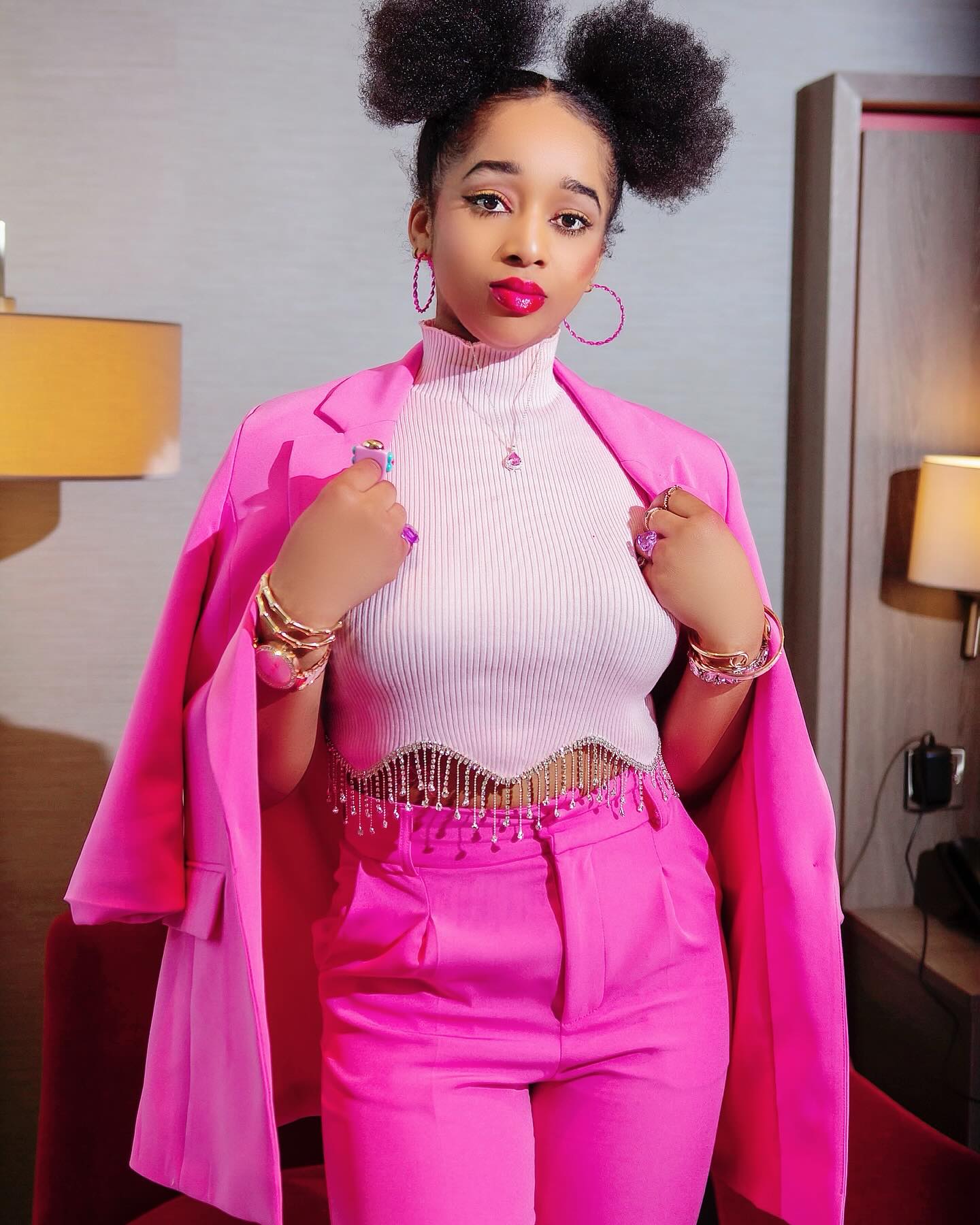 Sandra Pink Linda Concert